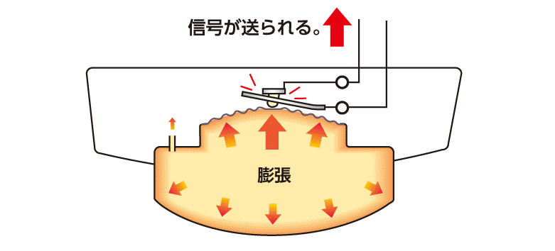 信号が送られる。　膨張